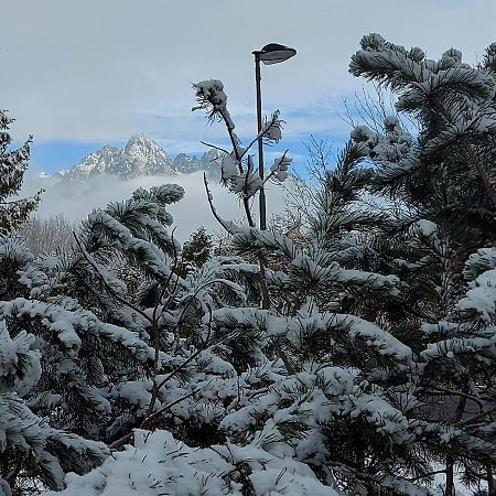 Apartmán Apartman Filip - Pod Lesom Vysoké Tatry Exteriér fotografie