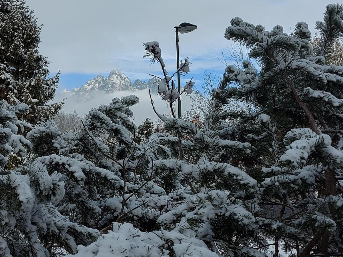 Apartmán Apartman Filip - Pod Lesom Vysoké Tatry Exteriér fotografie